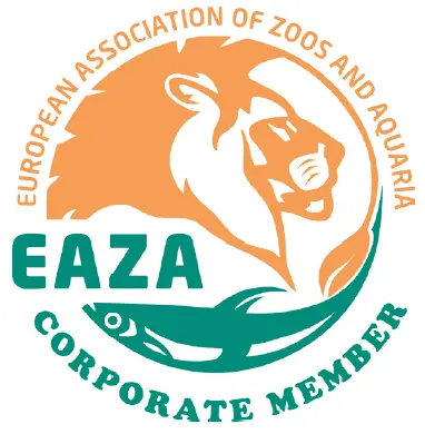 EAZA Corp logo2