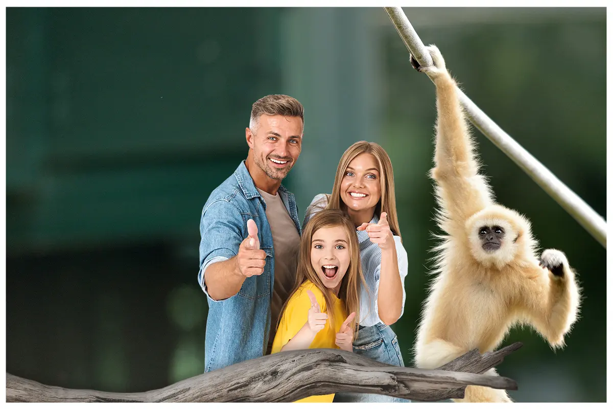 zoo photo pixbox photo1