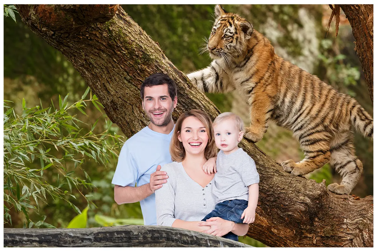 zoo photo pixbox photo2